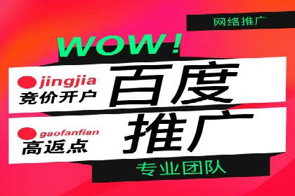 案例分享：SEM竞价代运营助力电商增长